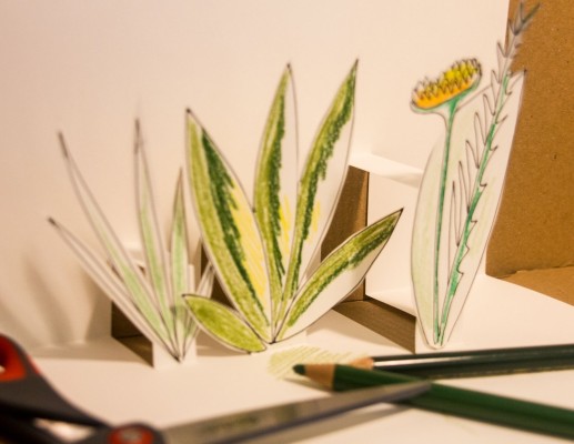 Pop-up Cards