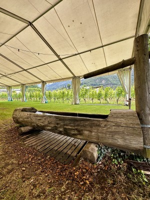 Brunch in the Heart of the Vineyards