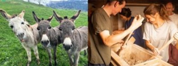 Eselwanderung und Roggenbrotbacken