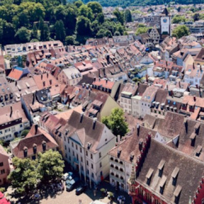 Freiburg for Beginners - Public City Tour Freiburg