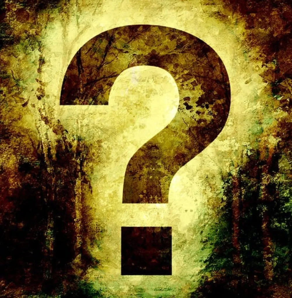 LIBRARY QUIZ