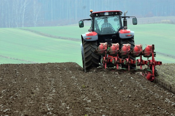 Swiss Agriculture: Development from the Ice Age to World War I