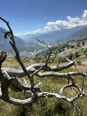 Sentier lyrique Guttet-Feschel 2026