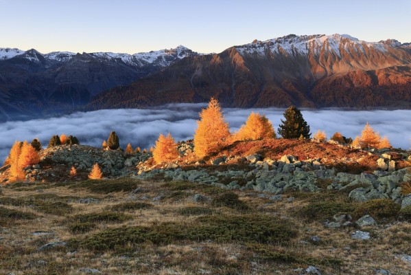 Golden Hour Yoga-Retreat
