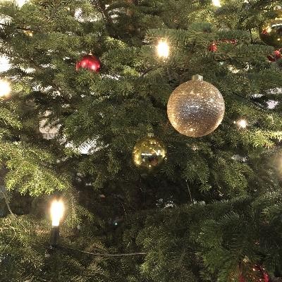 Family Christmas Service