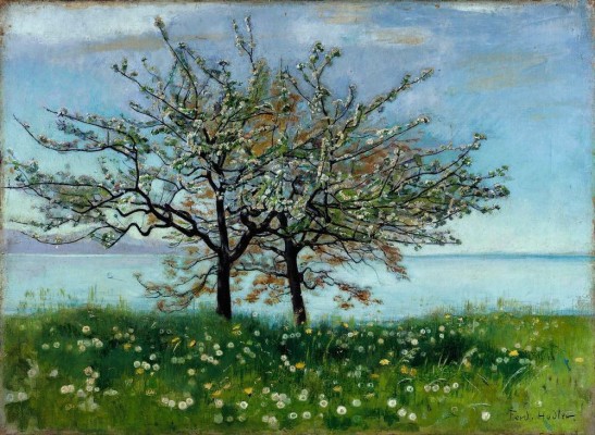 Come discover how to draw flowers in the style of Swiss painter Ferdinand Hodler!