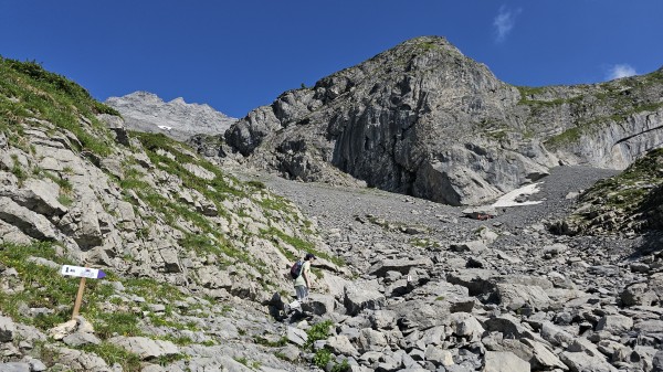54ª Carrera Pedestre Les Plans-sur-Bex - Cabane Plan-Névé