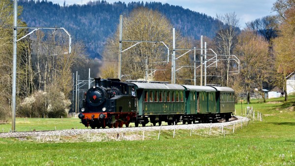 Steam Train | Public Rides
