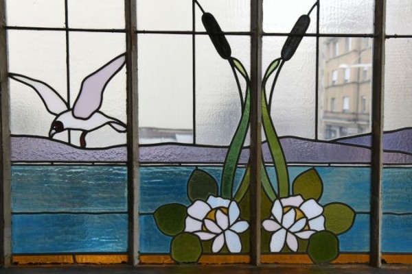 Little Nature ? - Museo del Lago de Ginebra