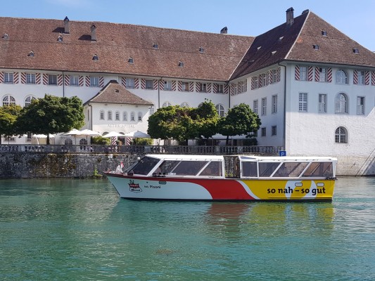 Quiz & Cruise on the Aare