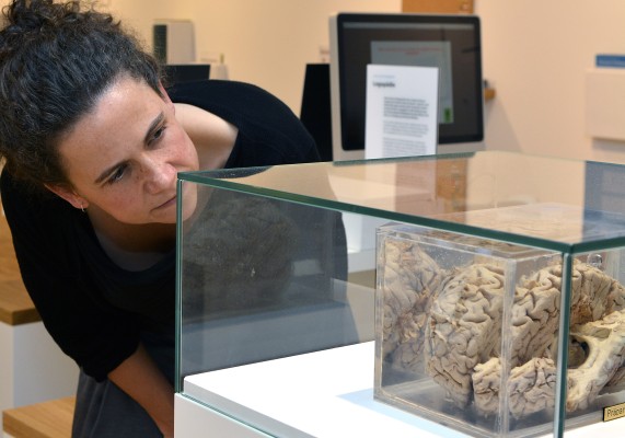 Exhibition «How We Learn»
