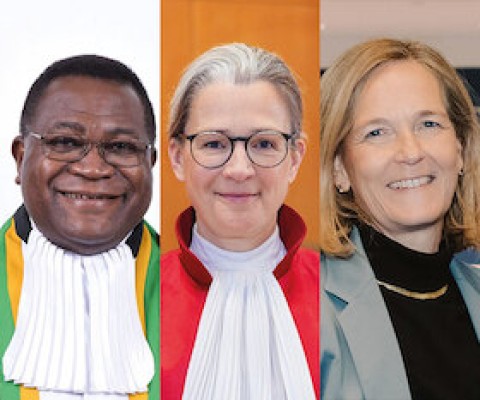 Blaise Tchikaya, Ann-Katrin Kaufhold & Anja Seibert-Fohr - Les tribunaux régionaux des droits de l'homme à la croisée des chemins