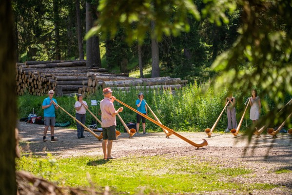 Introductory Course on the Alpine Horn