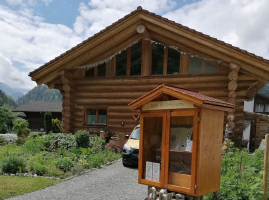 Reiki Practice Evening in the Log Cabin
