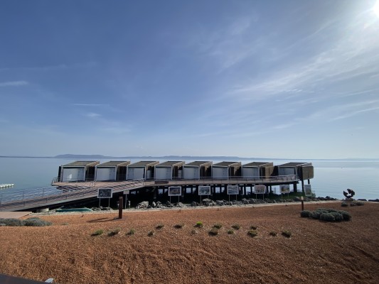 Reflets du lac, échos du monde
