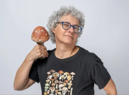 Champignons Vital locaux