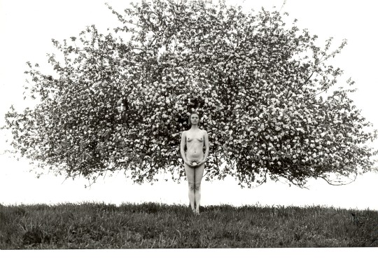 Tribute to Personality, Rostislav Košťál