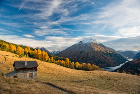 NATURAMA-Conférence : L'avenir de la fraîcheur alpine