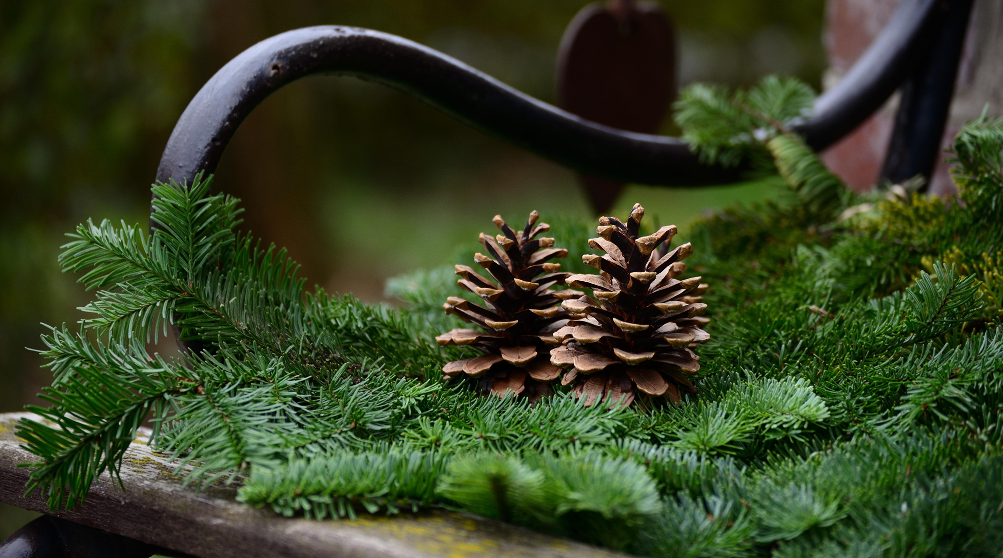 Floral Creation: Outdoor Decoration in Pine
