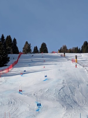 FIS Giant Slalom - Women
