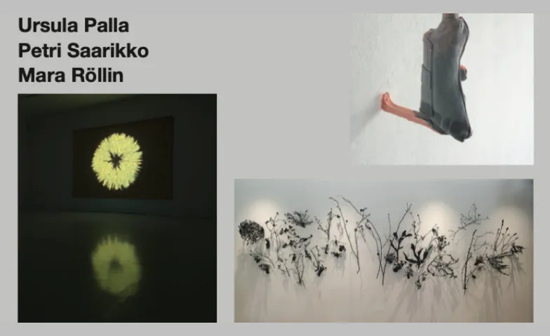 Ursula Palla, Petri Saarikko, Mara Röllin