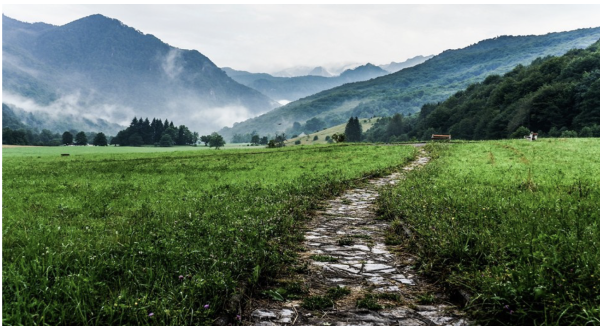 Curso de caminar descalzo – aprender a caminar y andar más allá de lo correcto