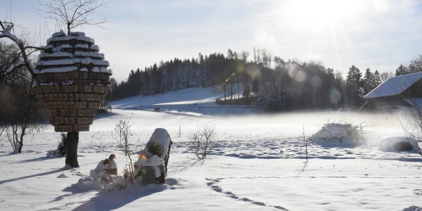 Natur verbindet – Wir pflanzen einen Wald der Zukunft