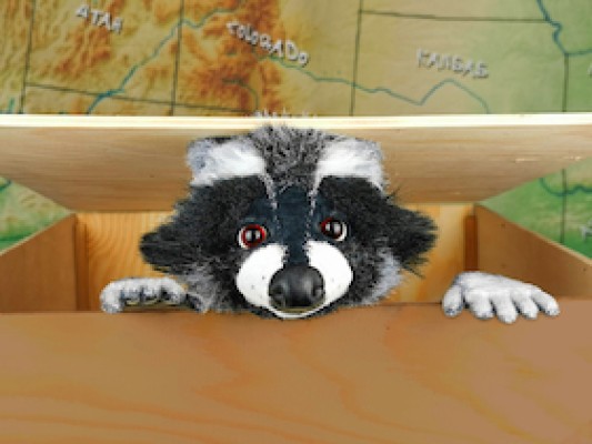 Rocky Waschbär – El ladrón de la tarta de manzana