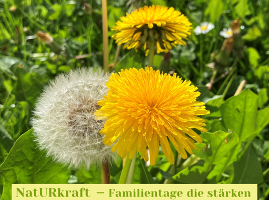 NatURkraft - Family Days that Strengthen