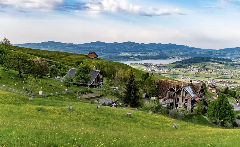 Regenerative Agrikultur – muss man erlebt haben