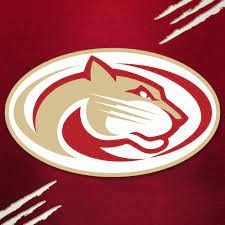 Lübeck Cougars Media Team