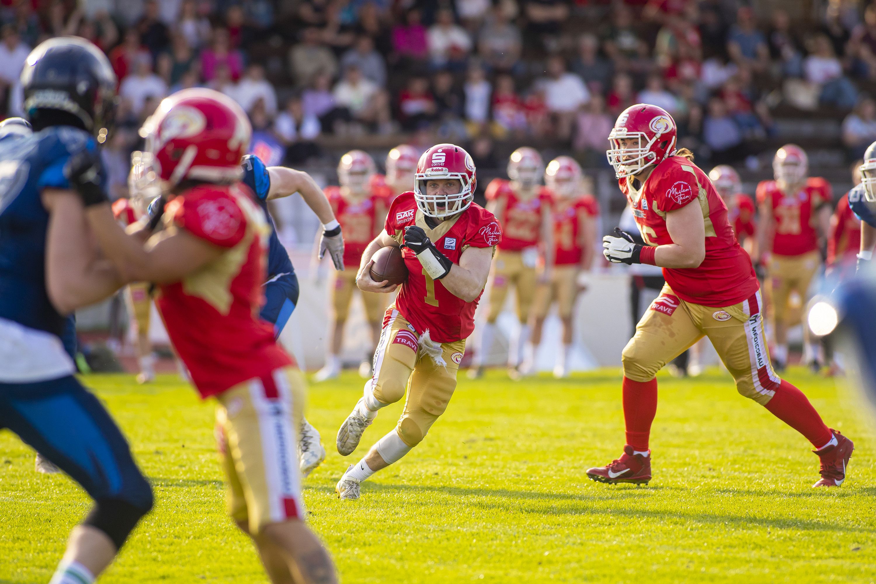 70:0 - Cougars siegen gegen Hamburg Blue Devils