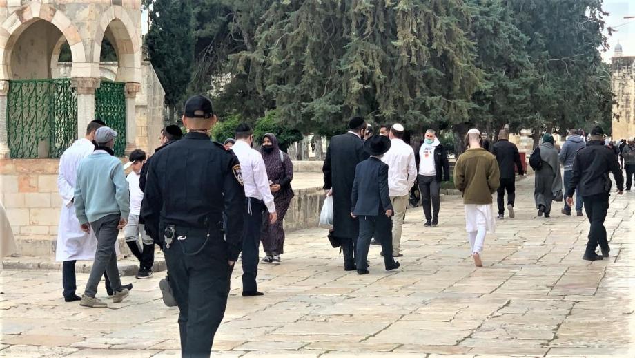 عشرات المستوطنين يقتحمون "الأقصى" بحماية مشددة