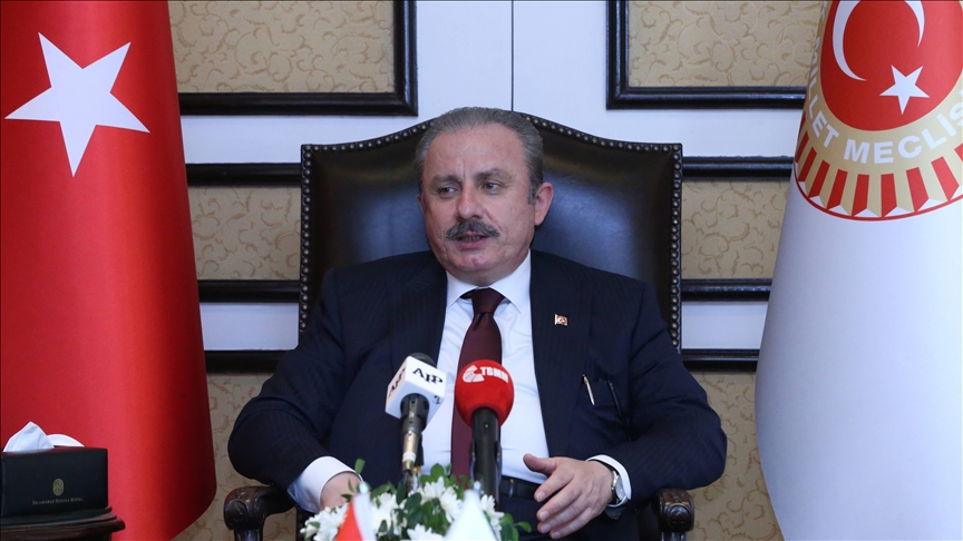 شنطوب: تركيا تدعم تحقيق الجنائية الدولية في جرائم الاحتلال