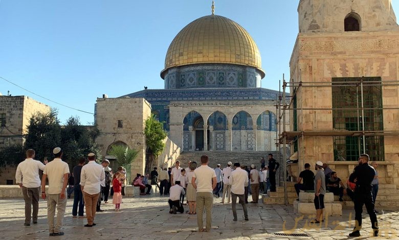 تقرير يسلط الضوء على اعتداءات الاحتلال ومستوطنيه بالقدس