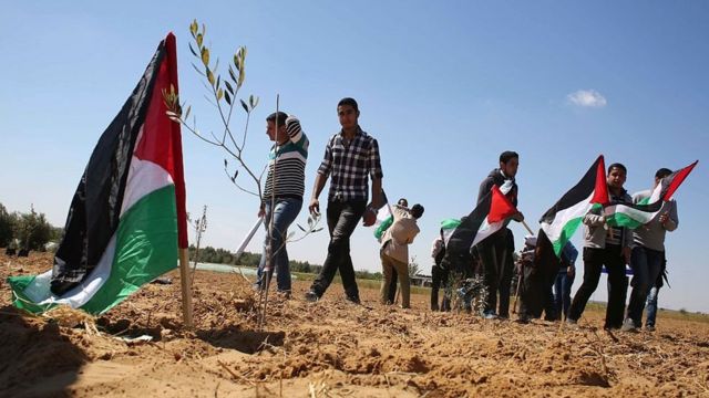 في ظلال يوم الأرض .. الفلسطينون : متجذرون ولانقبل التفريط
