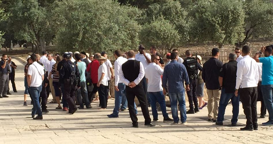 اعتقالات واسعة في القدس والداخل المحتل .. ومستوطنون يقتحمون الأقصى بحراسة مشددة