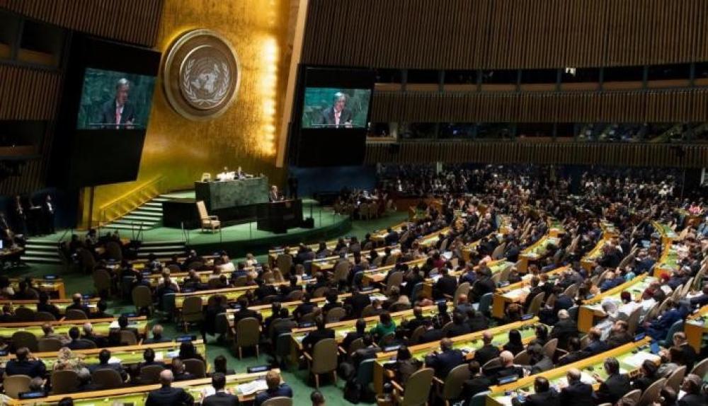 65 منظمة عالمية تطالب مفوض حقوق الإنسان بالعدالة للفلسطينيين