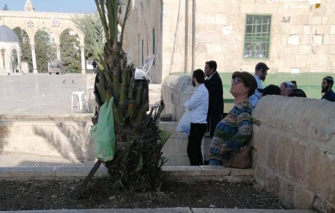 مستوطنون يقتحمون المسجد الأقصى المبارك بحماية قوات الاحتلال
