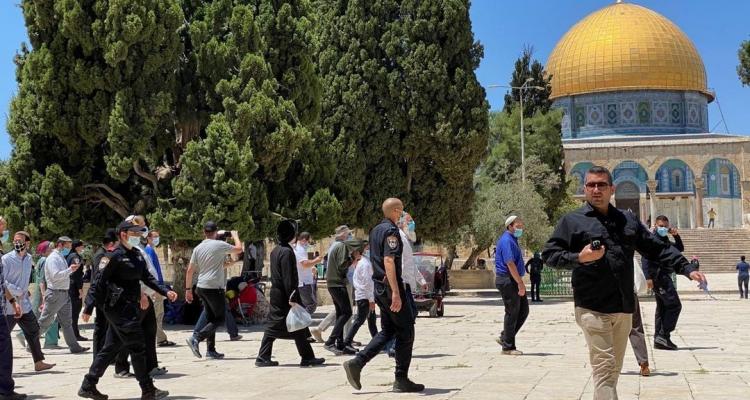 عشرات المستوطنين يقتحمون باحات الأقصى