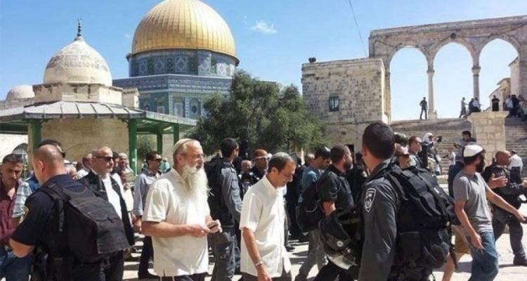 بالصور| عشرات المستوطنين يقتحمون باحات المسجد الأقصى