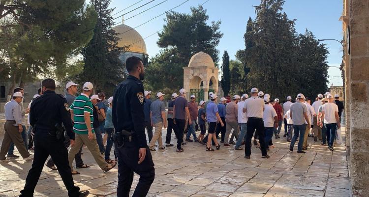 بالصور| مئات المستوطنين يقتحمون المسجد الأقصى بحراسة مشددة