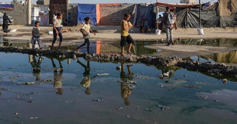 حرب جرثومية في غزة: أمراض غريبة ونقص في اللقاحات والمعدات الطبية في سياق حرب الإبادة الإسرائيلية