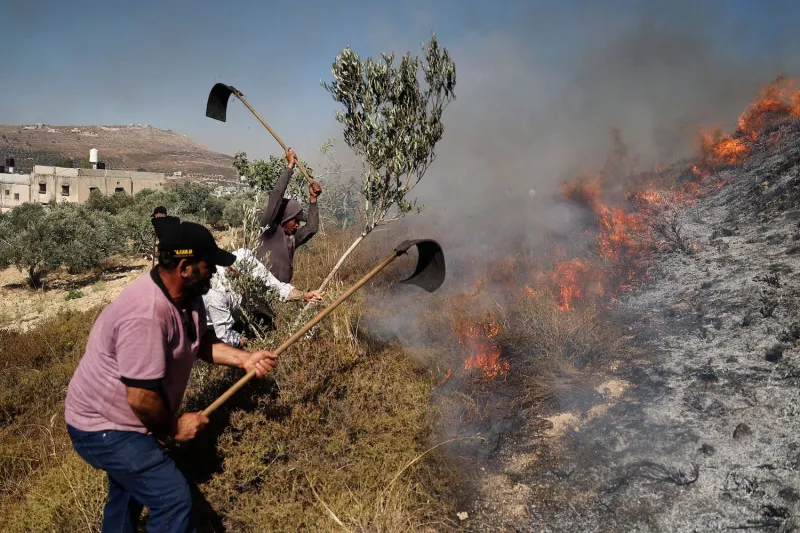 استباحة للدم الفلسطيني وأملاكهم... "هآرتس": سياسة كاتس تحوّل الضفة إلى ساحة حرب مفتوحة