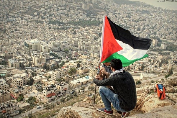 دولة واحدة... ولا حلّ في حضرة الإبادة