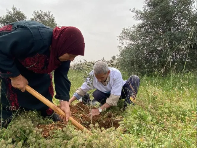 من عين الحلوة إلى الأقصى.. فلسطينيون يزرعون 200 شجرة في مواجهة التهويد