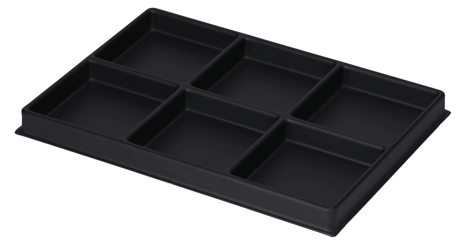 ESD-Tiefzieheinlage schwarz, 6 rechteckige Nester, PS frontal