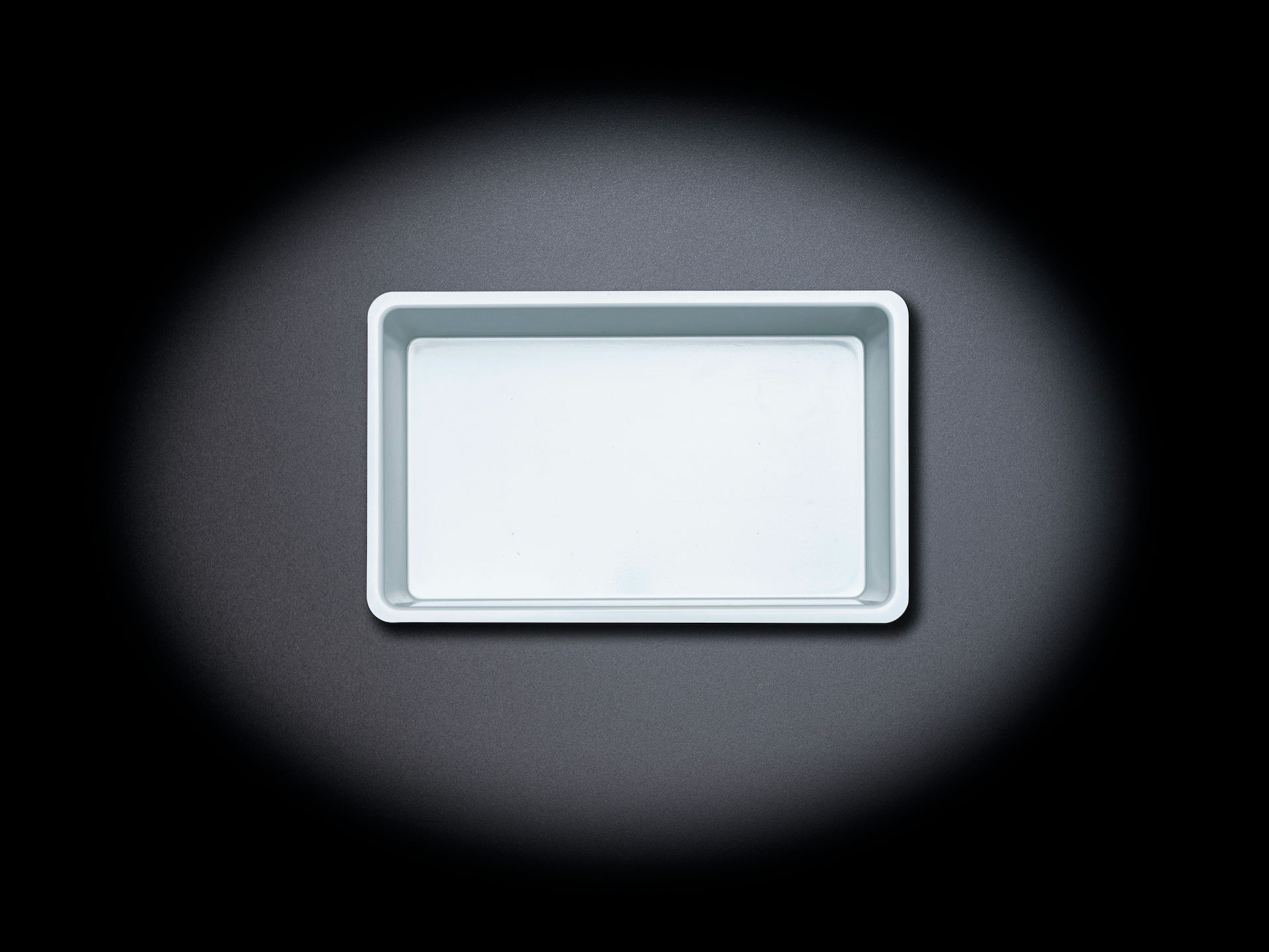 Tiefziehbehälter aus Kunststoff 