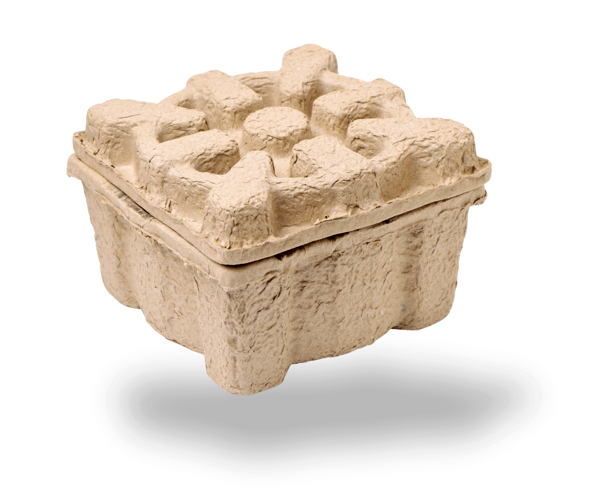 Faserguss Verpackung mit Deckel