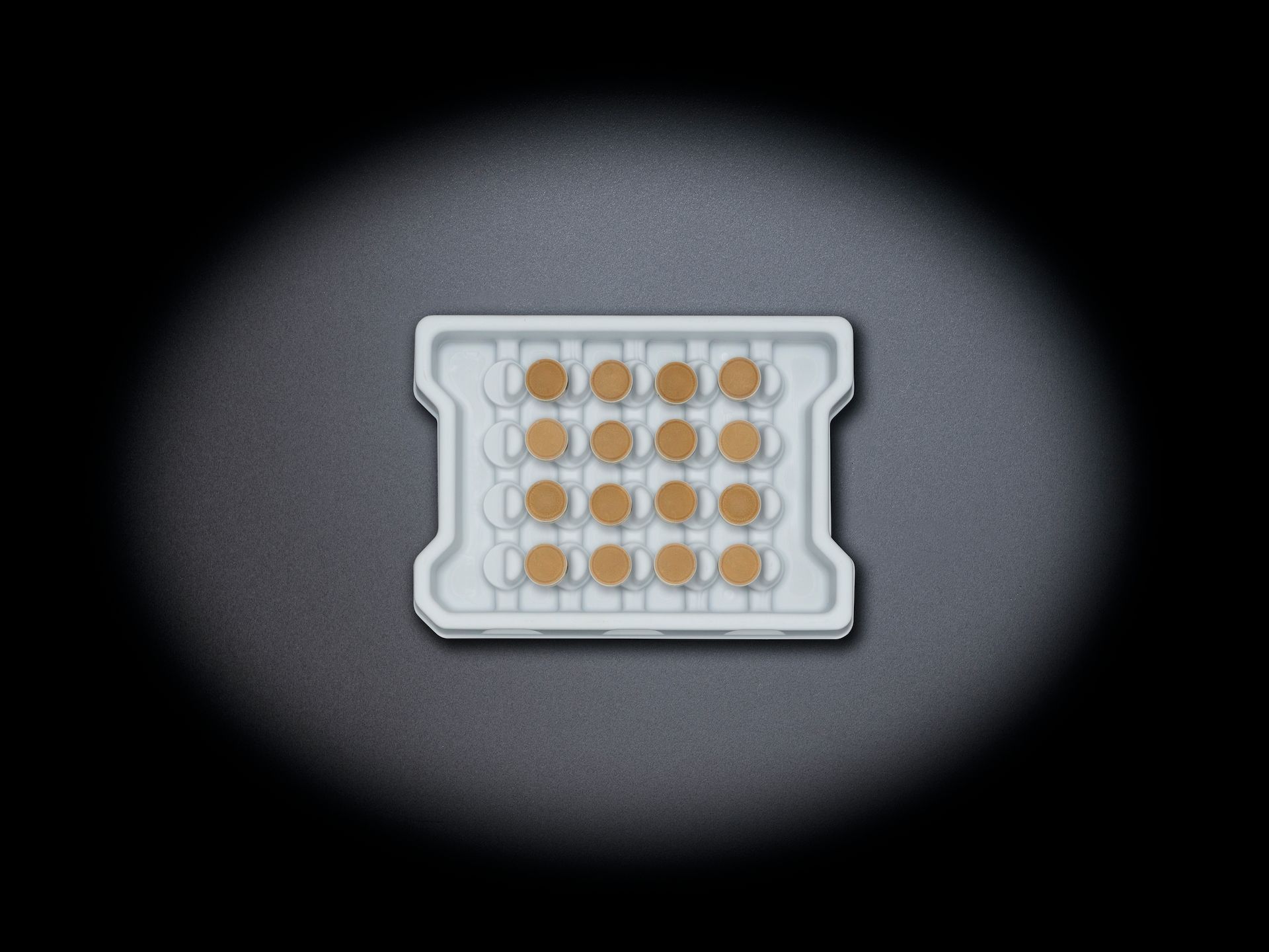 Gefülltes Transport Tray aus Kunststoff